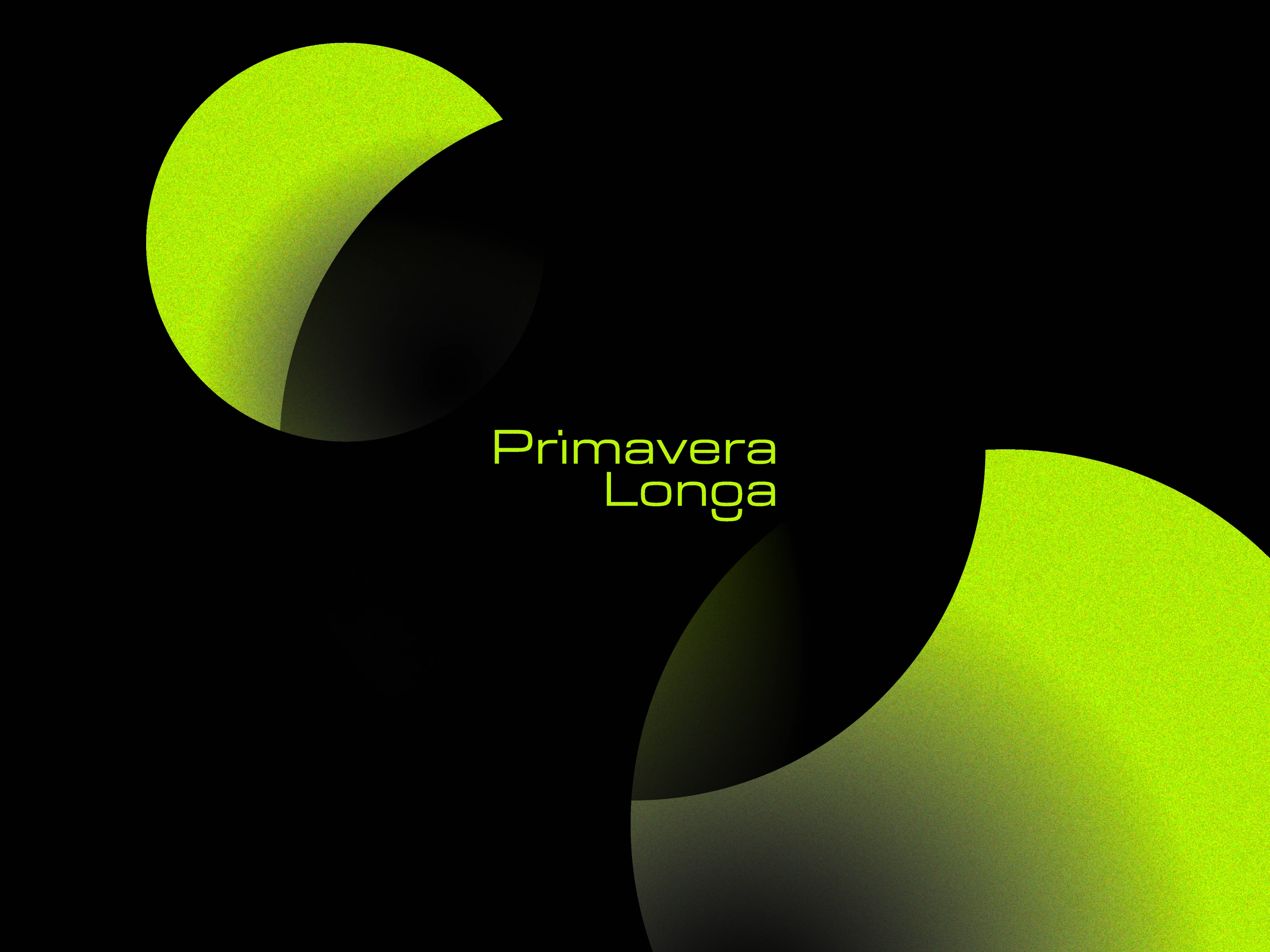 Primavera Longa showcase 1